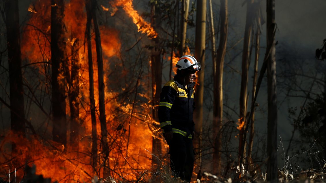 Gobierno decretó emergencia agrícola en Quillón por incendio forestal