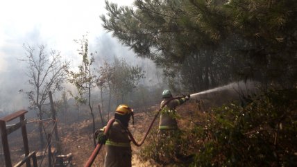  Alcalde de Quillón detalló el estado de la emergencia por el incendio forestal  