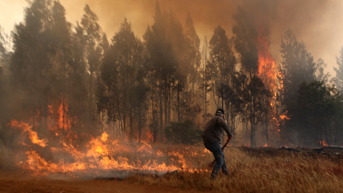 Chile registra en 2021 un 380% más de hectáreas afectadas en incendios