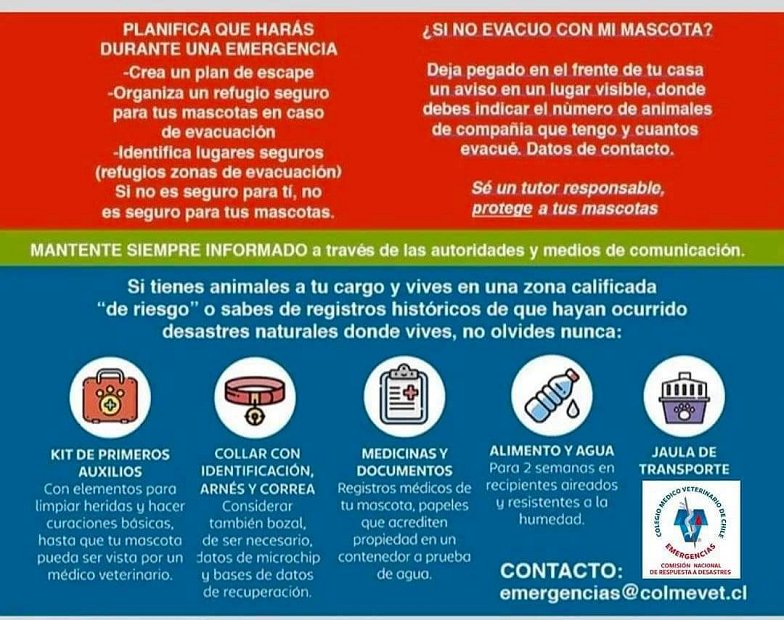 Imagen foto_00000011