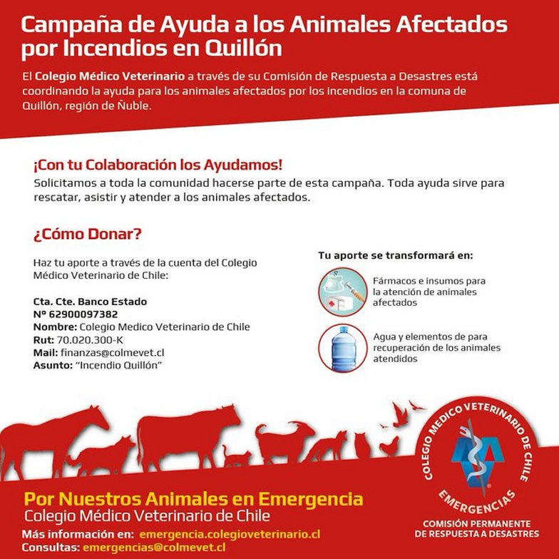 Imagen foto_00000013