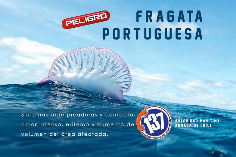 Imagen foto_00000026