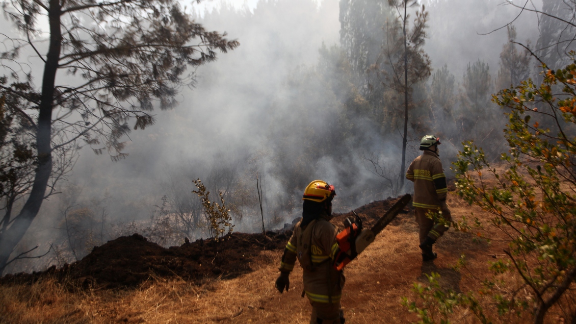 Gobierno vincula tres incendios forestales en La Araucanía con grupos armados