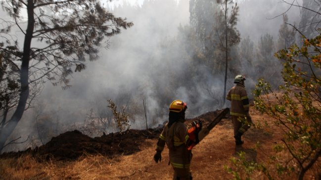 Gobierno vincula tres incendios forestales en La Araucanía con grupos armados