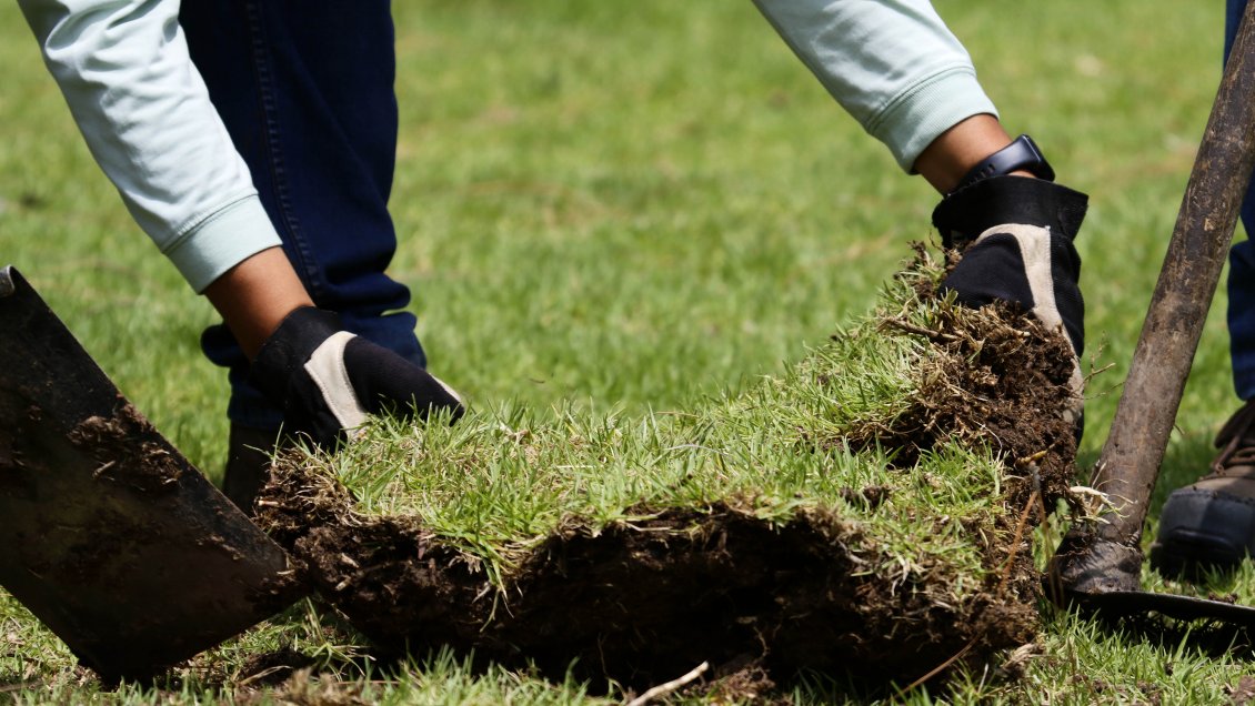 El plan del Parque Metropolitano para ahorrar 300 mil litros de agua diariamente