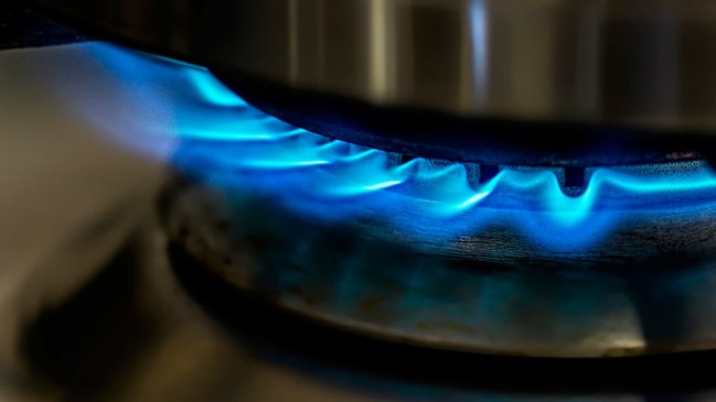  Economista y mercado del gas: Que haya sobreprecio no significa que haya colusión  