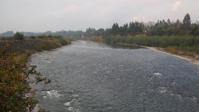 Municipio denunció presunta contaminación del río Cautín en Temuco