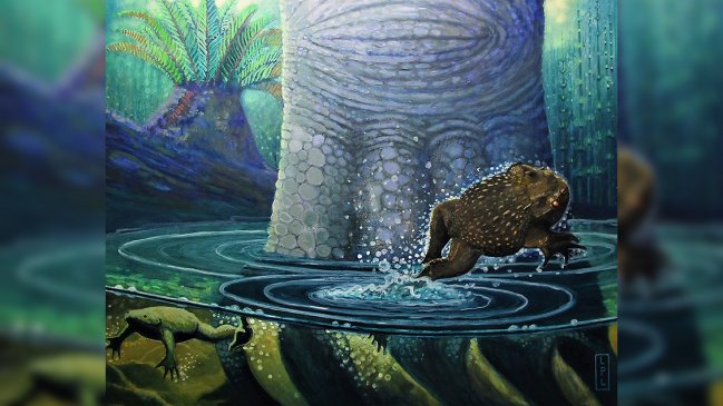Ranas chilenas sobrevivieron al meteorito que acabó con los dinosaurios