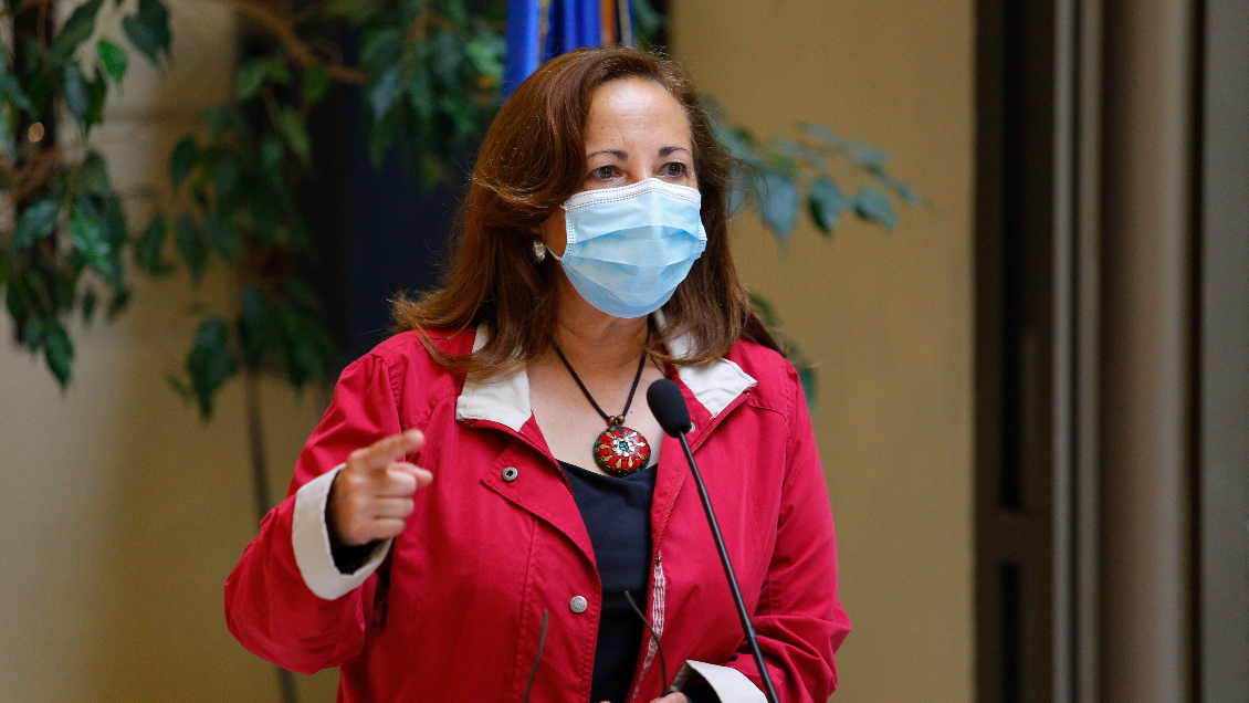 Diputada Sepúlveda por licitación del litio: 