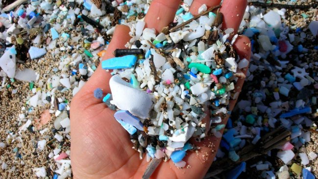  Estudio reveló que aguas de Chiloé están contaminadas con microplásticos  
