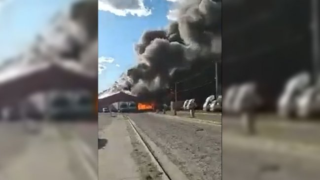 Bomberos controló incendio en bodegas en la Ruta 5 en Maule