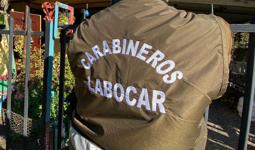 Mujer murió tras ser atacada por cinco perros en Valparaíso: Dueño fue detenido