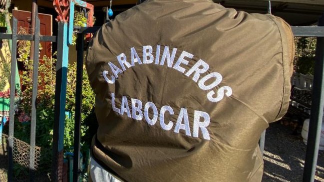 Mujer murió tras ser atacada por cinco perros en Valparaíso: Dueño fue detenido