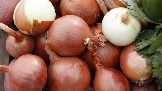  Chilenos descubren que la cáscara de cebolla es el antioxidante más potente del mundo  