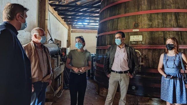 Importadores vitivinícolas de Francia y Noruega visitaron a productores del valle del Itata