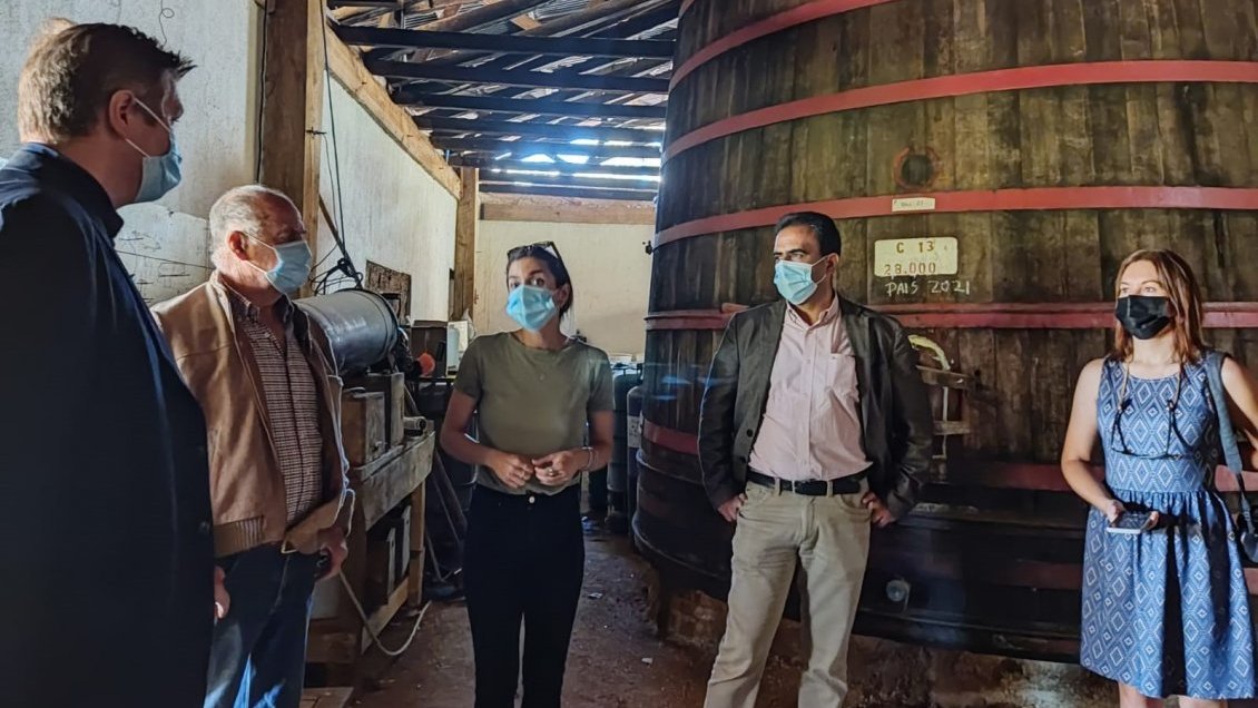 Importadores vitivinícolas de Francia y Noruega visitaron a productores del valle del Itata