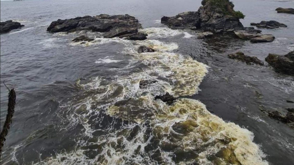 Comité especialista dice que mancha en playas del Biobío es floración algal y no residuos tóxicos