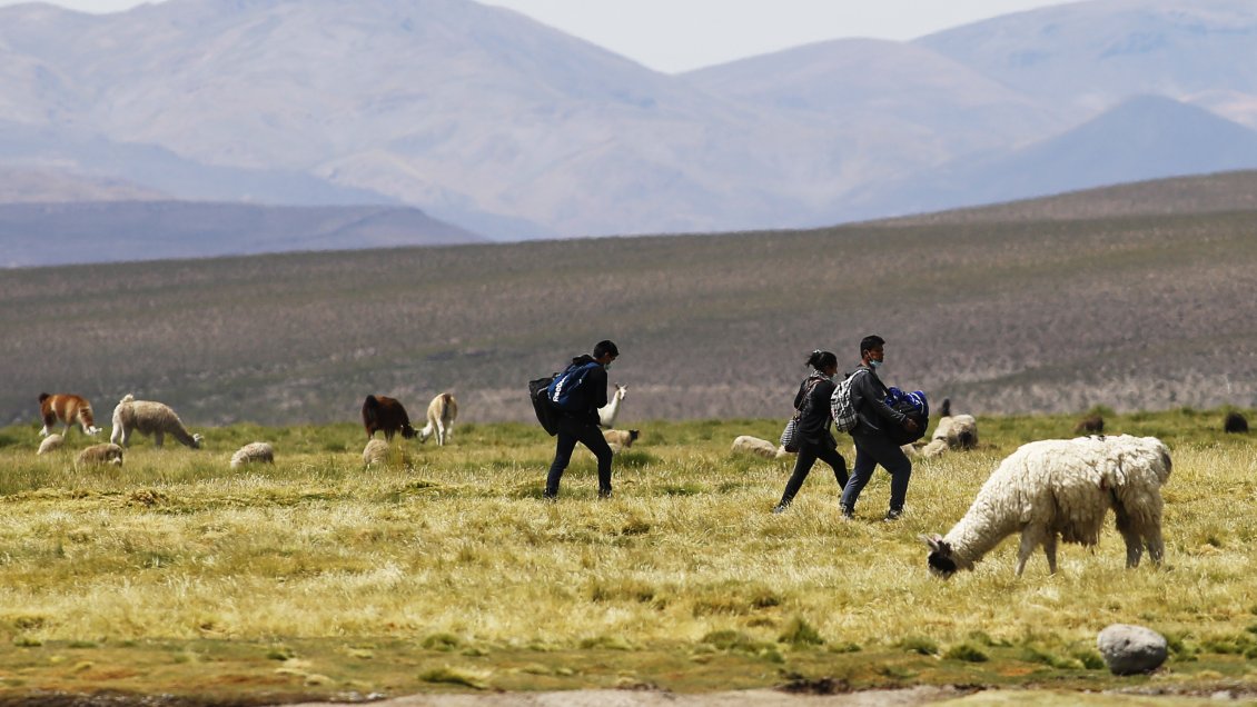 Gobiernos de Chile y Bolivia discutirán la crisis migratoria 