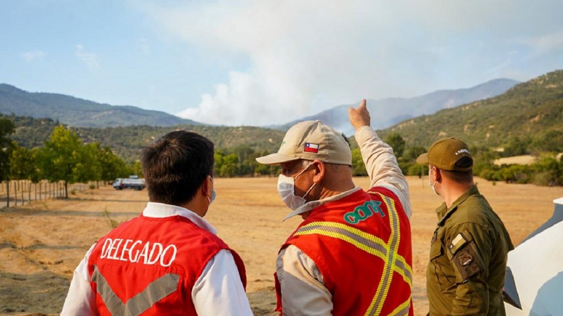PDI investiga intencionalidad del incendio forestal La Aguada de Sagrada Familia