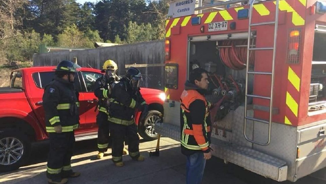 Alerta roja para Chanco y Pelluhue por incendio forestal que amenaza a la reserva Los Ruiles