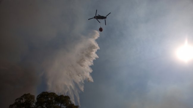 Alerta roja por incendio forestal que presenta amenaza a viviendas en Padre Las Casas