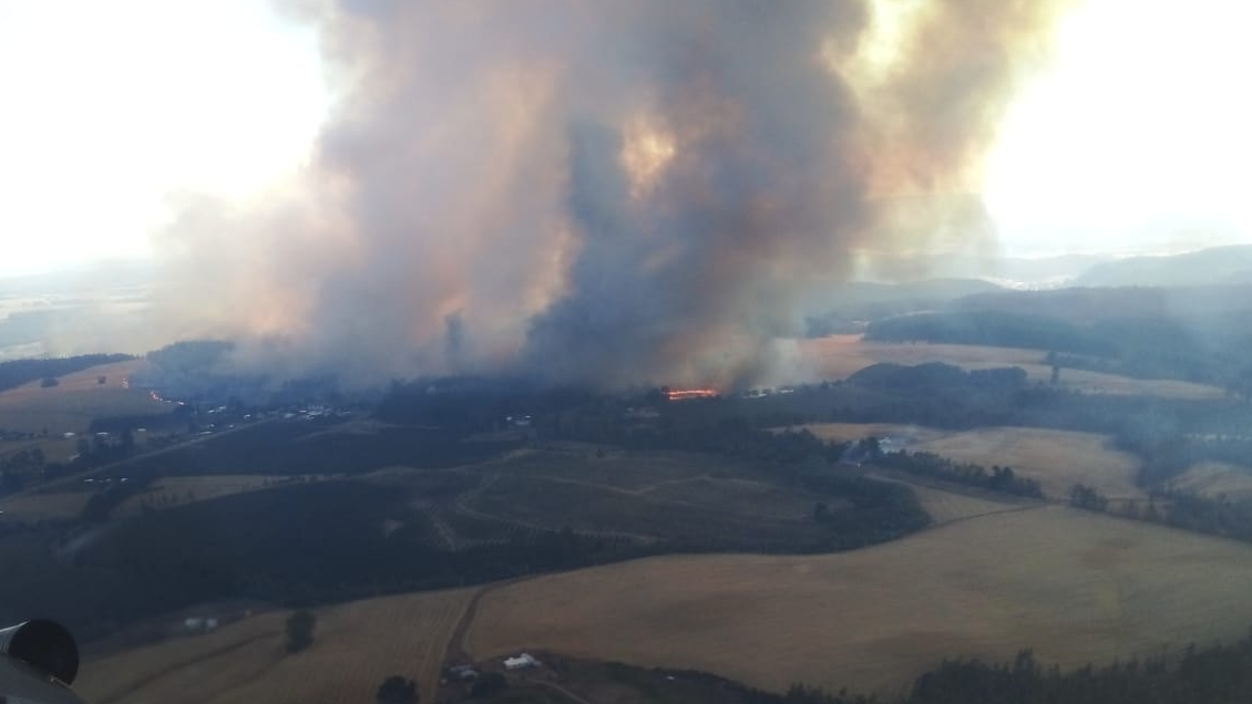 Incendios en La Araucanía: Declaran alerta roja para Cholchol, Galvarino y Traiguén