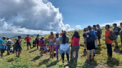   Conaf Rapa Nui retiró especies invasoras del humedal Rano Raraku 