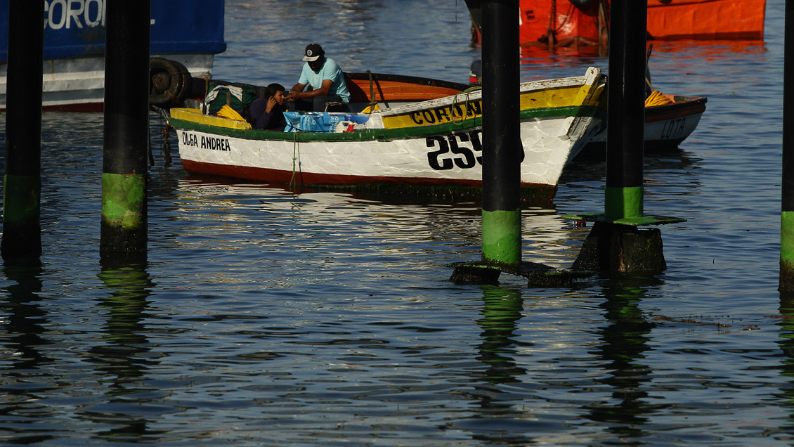 Subsecretaría le pidió la renuncia al director zonal de Pesca de Ñuble y Biobío por 