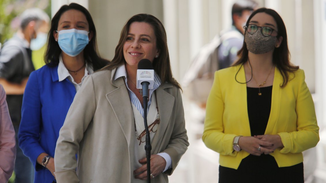 ¿Provocación o desliz? Los insultos de Teresa Marinovic a la Convención