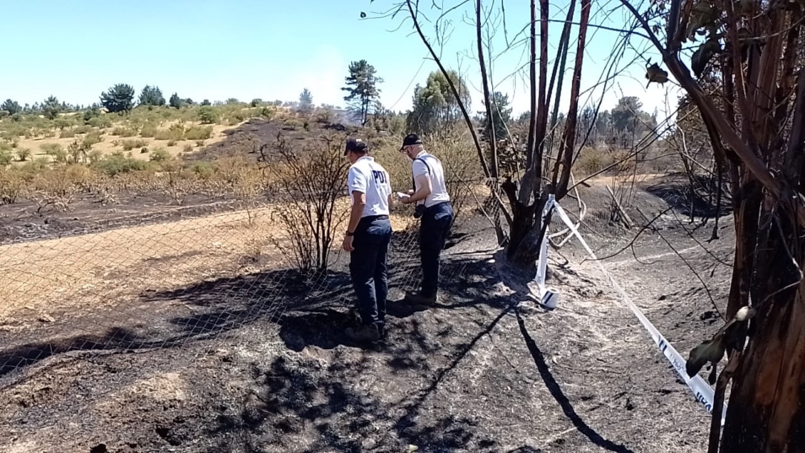 PDI investiga eventual intencionalidad en incendios forestales de Cauquenes