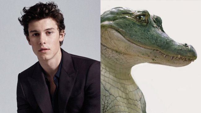 Shawn Mendes debuta en el cine con película sobre un cocodrilo