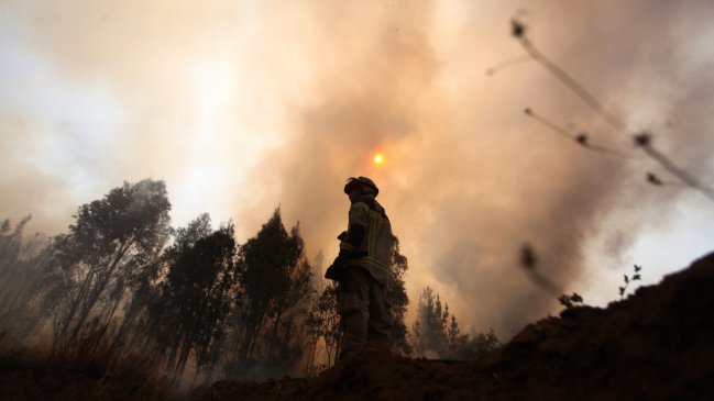 La Araucanía tiene seis alertas rojas vigentes por incendios forestales: Ministra de Agricultura visita la zona