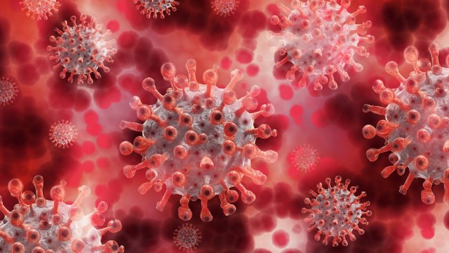 ISP confirmó cuatro casos de 