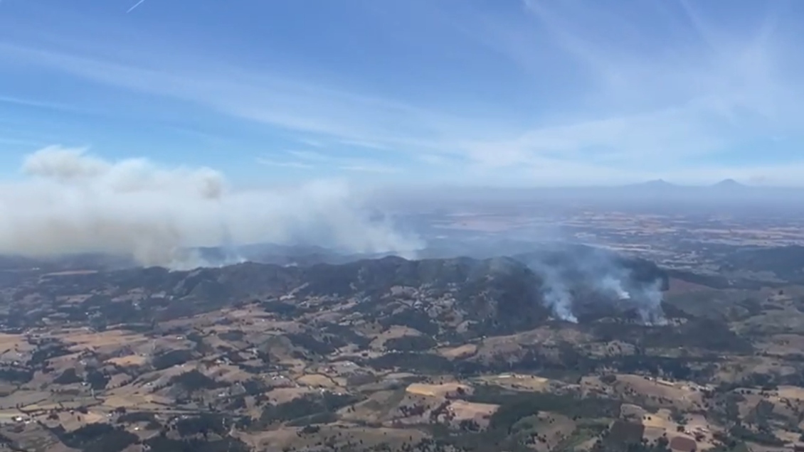 Incendio forestal de Ercilla fue circunscrito: Bajan alerta roja