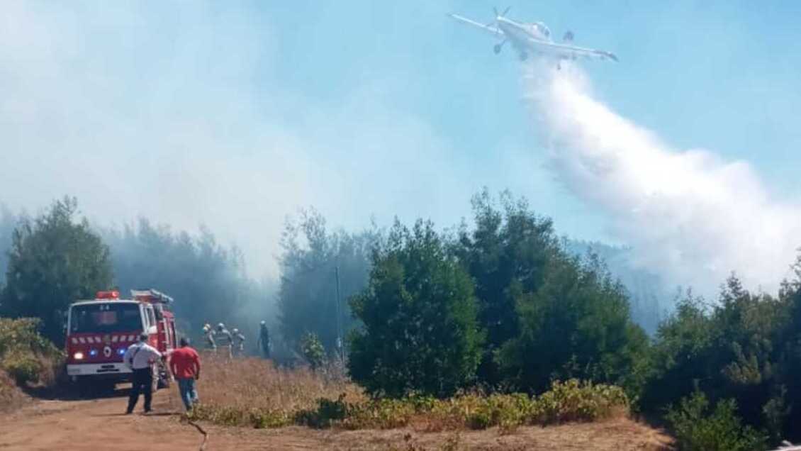 Hombre falleció en medio de incendio forestal en Florida