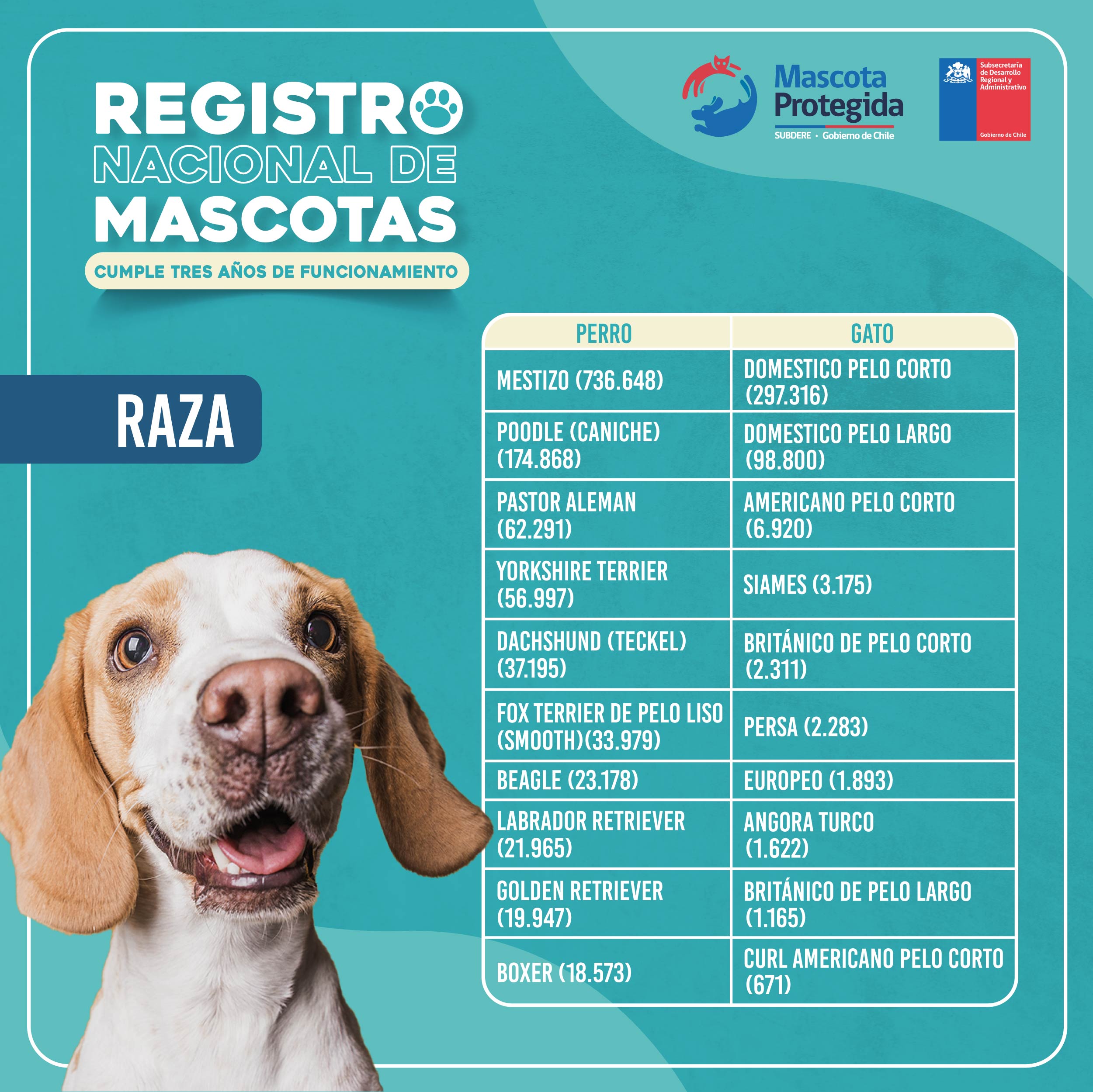 Imagen foto_00000002