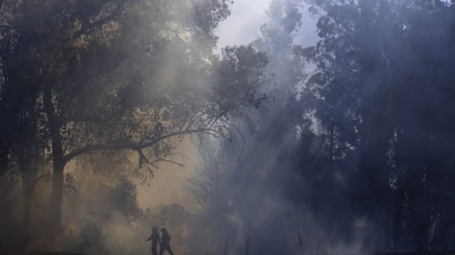   Incendios en noreste argentino desbordan recursos y preocupan áreas afectadas 
