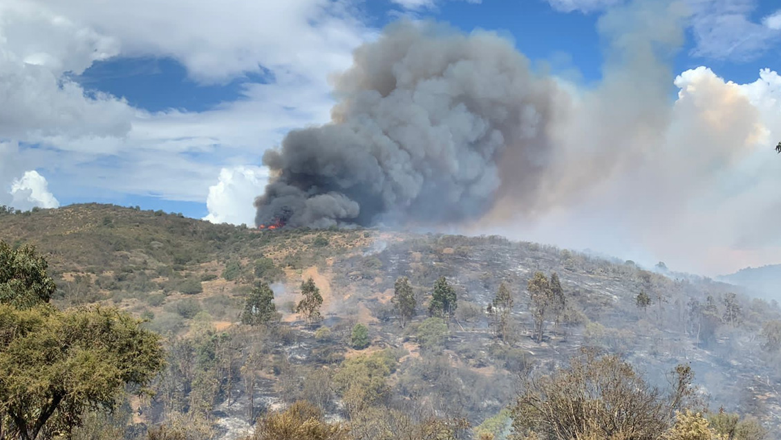 Alerta roja en San Antonio por incendio forestal cercano a sectores habitados