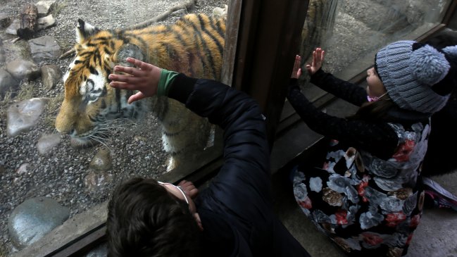 Comisión de la Convención decidió rechazar la idea de prohibir los zoológicos