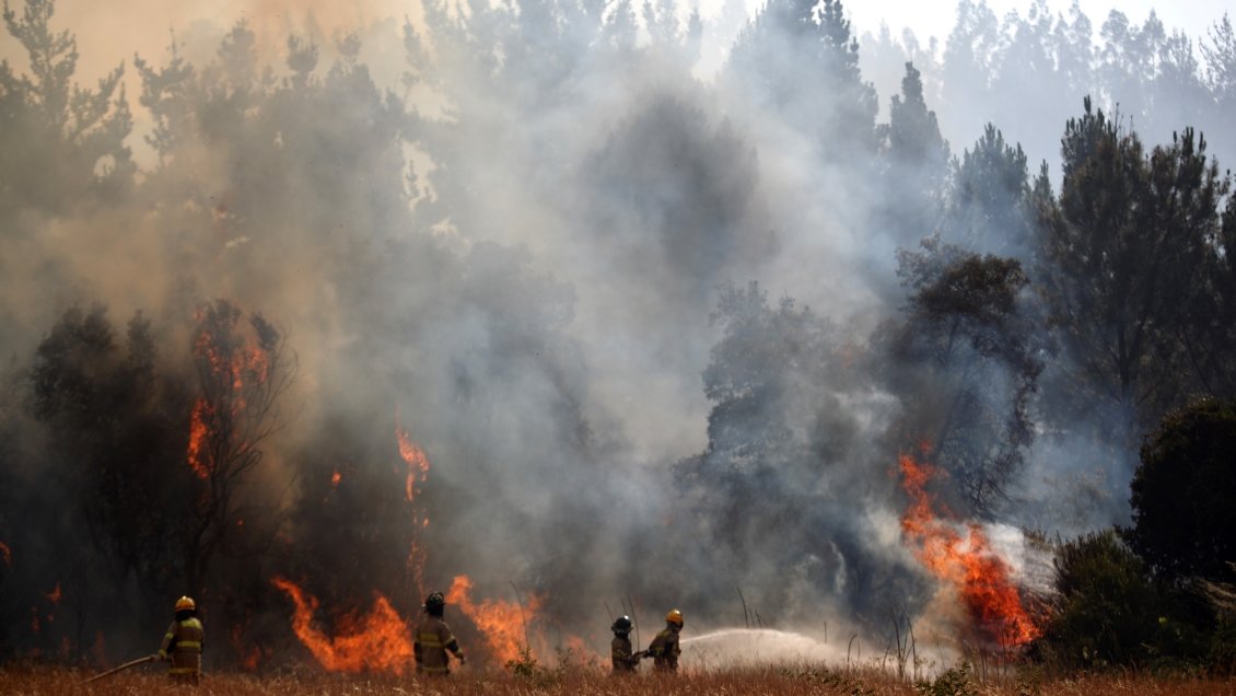 Corma: Incendios forestales están 