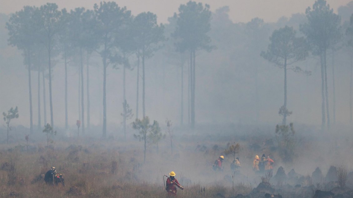 Incendios en Argentina: El fuego causa daños 