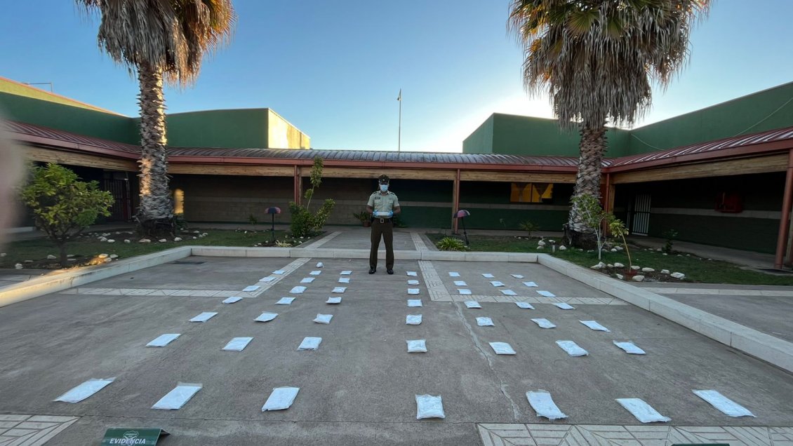 Papudo: Control carretero incautó 803 millones en droga y dejó a tres detenidos