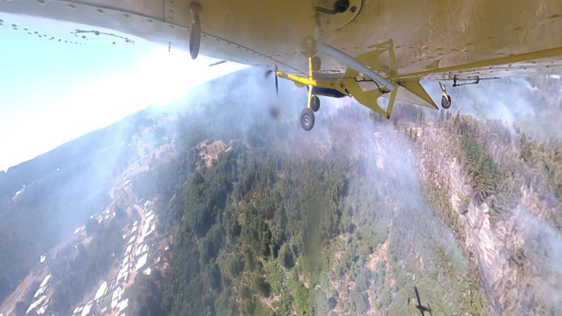 Incendio forestal en Penco amenaza a viviendas: se declaró alerta roja