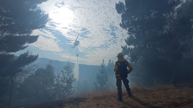 Melipeuco continúa en alerta roja debido a incendio forestal