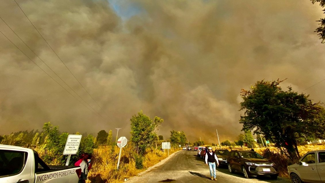 Incendio forestal ha consumido más de 1.200 hectáreas en El Carmen y Pemuco