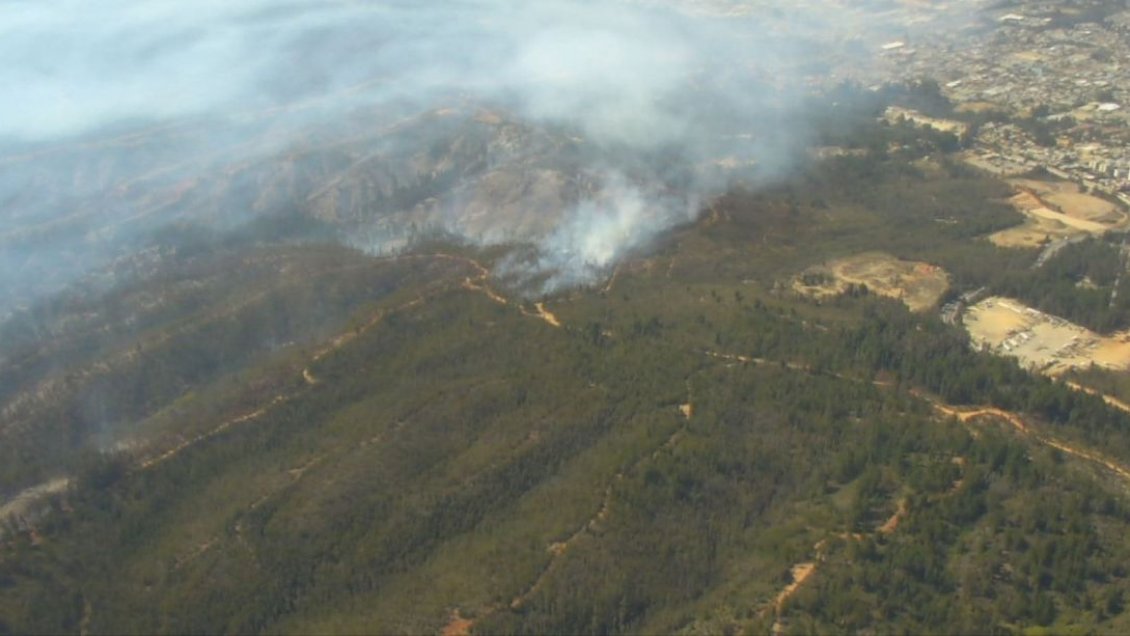 Incendio forestal de Valparaíso se mantiene en 350 hectáreas y con actividad en quebradas