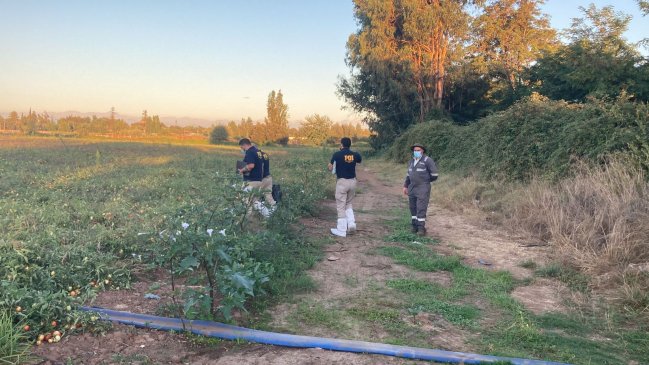 Adulta mayor fue encontrada muerta en predio agrícola de Talca