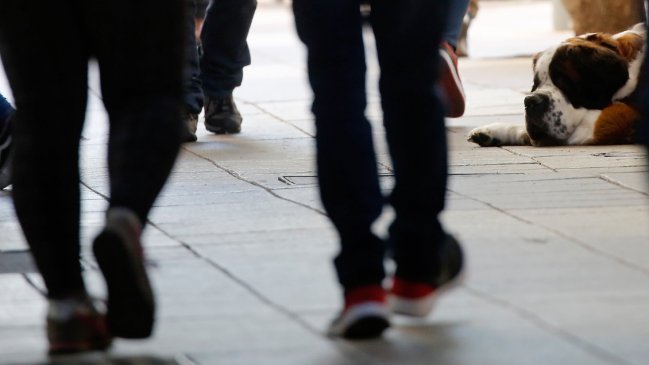 Casi 50 comunas avanzan en el Plan Paso a Paso a partir de este sábado