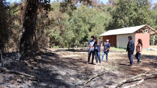 Avanza catastro a agricultores afectados por incendio en El Carmen y Pemuco