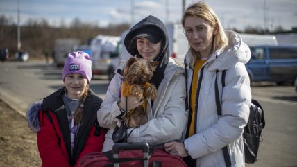  UE relajó normas para permitir ingreso de refugiados ucranianos con mascotas  